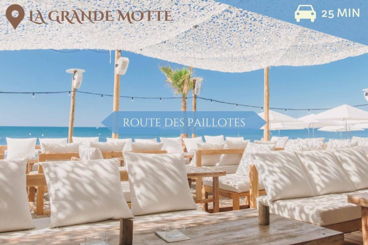063 - Studio Didion, Centre Gare St Roch, Clim, Balcon,4Pers Μονπελιέ Εξωτερικό φωτογραφία